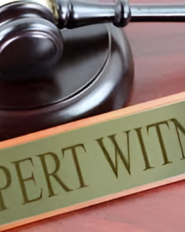 expert-witness